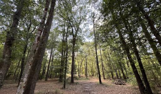 Photo #23 of SOLD property in Off Highway 42, Tarboro, NC 43.3 acres