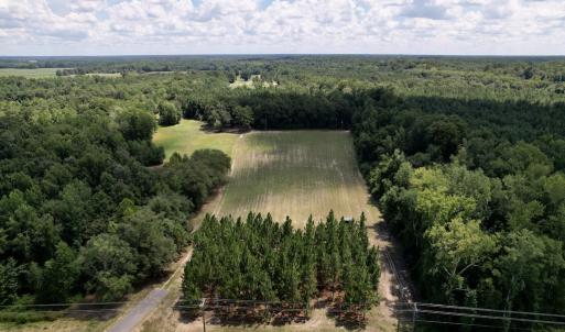 Photo #24 of SOLD property in Off Highway 42, Tarboro, NC 43.3 acres