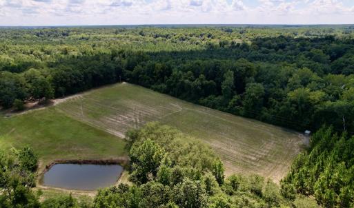 Photo #25 of SOLD property in Off Highway 42, Tarboro, NC 43.3 acres