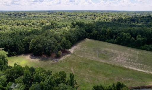 Photo #26 of SOLD property in Off Highway 42, Tarboro, NC 43.3 acres