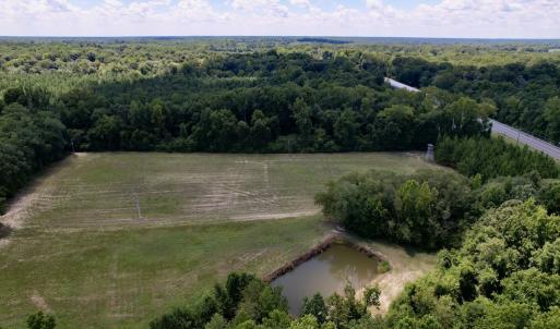 Photo #27 of SOLD property in Off Highway 42, Tarboro, NC 43.3 acres