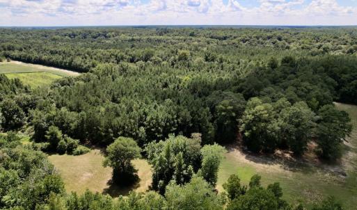 Photo #28 of SOLD property in Off Highway 42, Tarboro, NC 43.3 acres