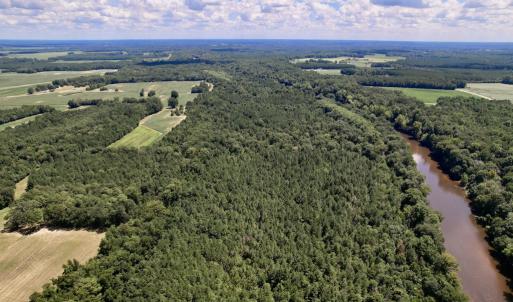 Photo #32 of SOLD property in Off Highway 42, Tarboro, NC 43.3 acres