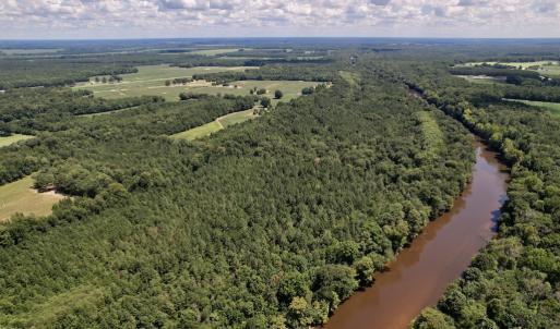 Photo #34 of SOLD property in Off Highway 42, Tarboro, NC 43.3 acres