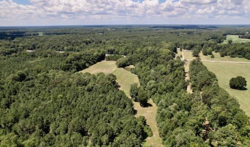 Photo #40 of SOLD property in Off Highway 42, Tarboro, NC 43.3 acres