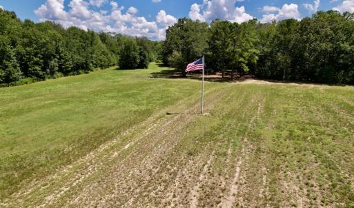Photo #42 of SOLD property in Off Highway 42, Tarboro, NC 43.3 acres