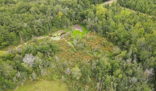 Photo #38 of 388 Loop Road, Bunnlevel, NC 25.6 acres