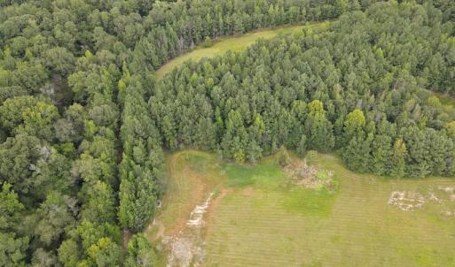 Photo #43 of 388 Loop Road, Bunnlevel, NC 25.6 acres