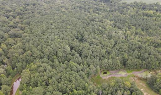 Photo #44 of 388 Loop Road, Bunnlevel, NC 25.6 acres