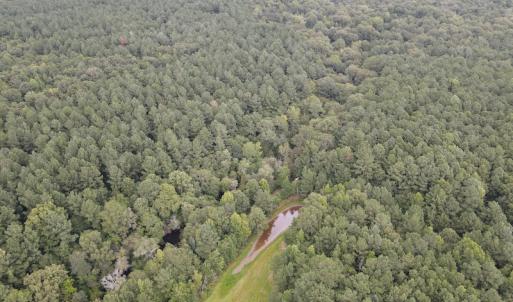 Photo #48 of 388 Loop Road, Bunnlevel, NC 25.6 acres