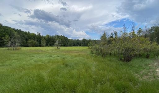 Photo #54 of 388 Loop Road, Bunnlevel, NC 25.6 acres