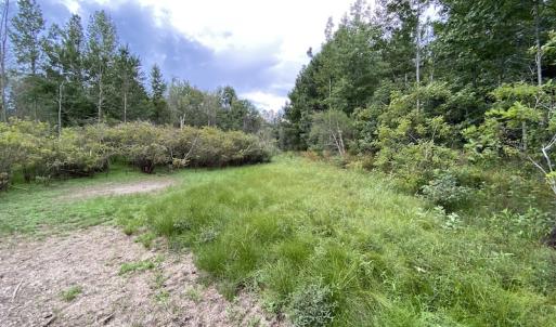 Photo #56 of 388 Loop Road, Bunnlevel, NC 25.6 acres