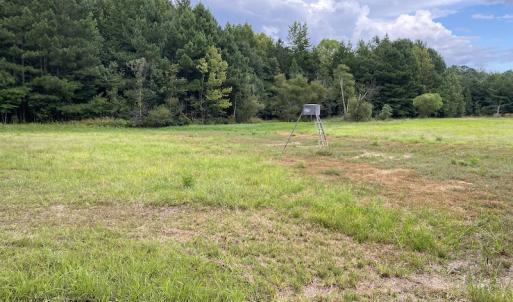 Photo #58 of 388 Loop Road, Bunnlevel, NC 25.6 acres