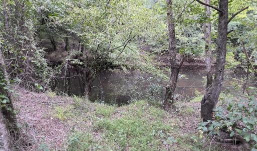 Photo #63 of 388 Loop Road, Bunnlevel, NC 25.6 acres