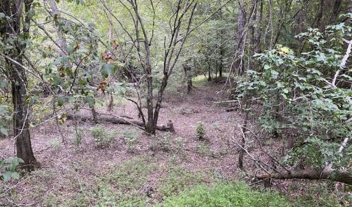 Photo #64 of 388 Loop Road, Bunnlevel, NC 25.6 acres