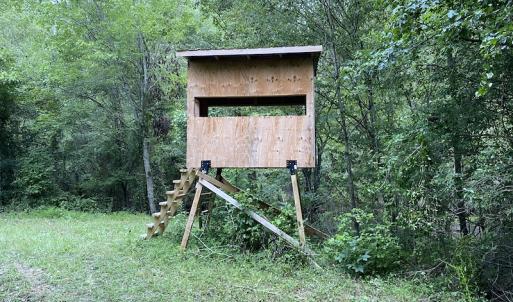 Photo #65 of 388 Loop Road, Bunnlevel, NC 25.6 acres
