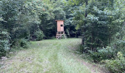 Photo #66 of 388 Loop Road, Bunnlevel, NC 25.6 acres