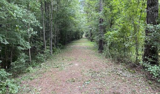 Photo #67 of 388 Loop Road, Bunnlevel, NC 25.6 acres
