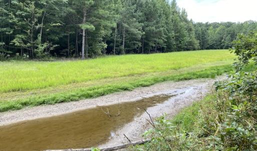 Photo #68 of 388 Loop Road, Bunnlevel, NC 25.6 acres