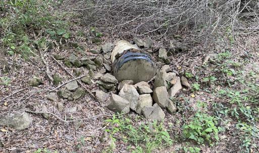 Photo #70 of 388 Loop Road, Bunnlevel, NC 25.6 acres