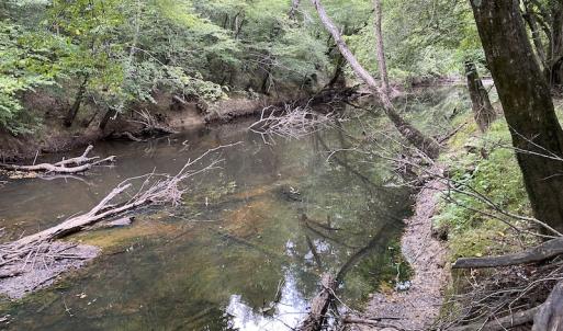 Photo #71 of 388 Loop Road, Bunnlevel, NC 25.6 acres