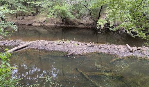 Photo #72 of 388 Loop Road, Bunnlevel, NC 25.6 acres