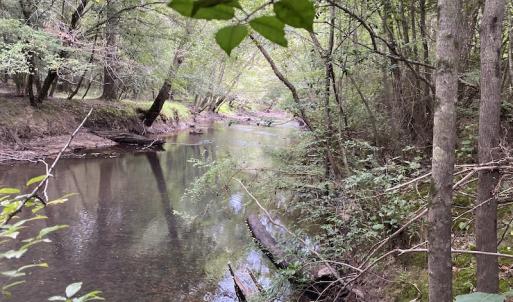 Photo #73 of 388 Loop Road, Bunnlevel, NC 25.6 acres