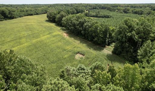 Photo #10 of SOLD property in Off Hwy 58, Boydton, VA 69.5 acres
