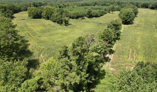 Photo #11 of SOLD property in Off Hwy 58, Boydton, VA 69.5 acres