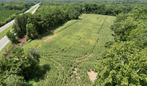 Photo #12 of SOLD property in Off Hwy 58, Boydton, VA 69.5 acres