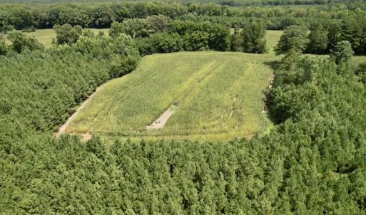 Photo #13 of SOLD property in Off Hwy 58, Boydton, VA 69.5 acres