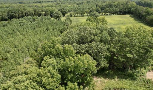 Photo #14 of SOLD property in Off Hwy 58, Boydton, VA 69.5 acres