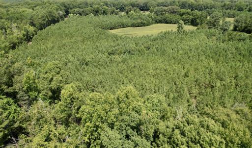 Photo #16 of SOLD property in Off Hwy 58, Boydton, VA 69.5 acres
