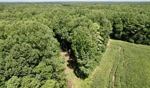 Photo #17 of SOLD property in Off Hwy 58, Boydton, VA 69.5 acres