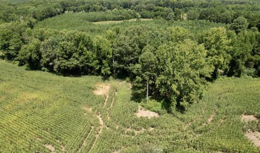 Photo #18 of SOLD property in Off Hwy 58, Boydton, VA 69.5 acres