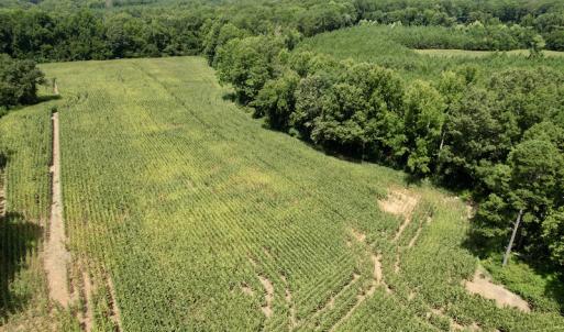 Photo #20 of SOLD property in Off Hwy 58, Boydton, VA 69.5 acres