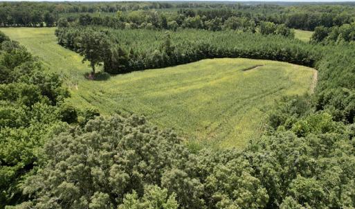 Photo #21 of SOLD property in Off Hwy 58, Boydton, VA 69.5 acres