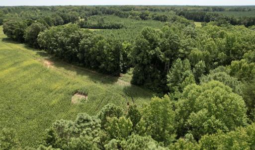 Photo #22 of SOLD property in Off Hwy 58, Boydton, VA 69.5 acres
