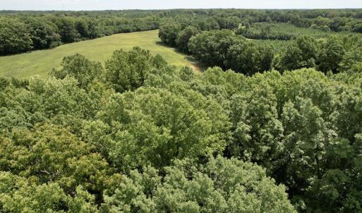 Photo #23 of SOLD property in Off Hwy 58, Boydton, VA 69.5 acres