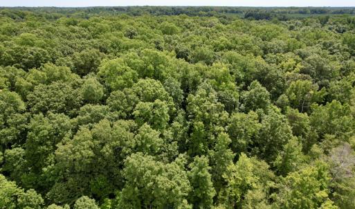 Photo #25 of SOLD property in Off Hwy 58, Boydton, VA 69.5 acres