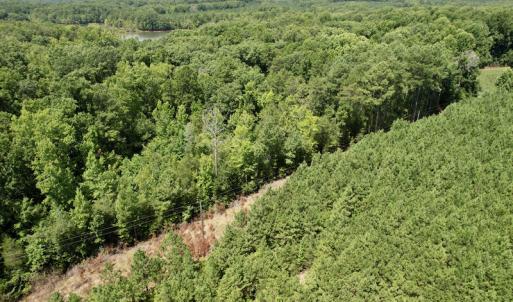 Photo #28 of SOLD property in Off Hwy 58, Boydton, VA 69.5 acres