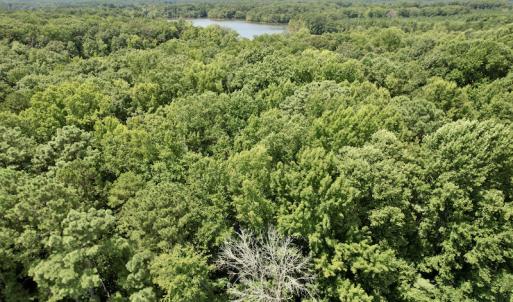 Photo #30 of SOLD property in Off Hwy 58, Boydton, VA 69.5 acres