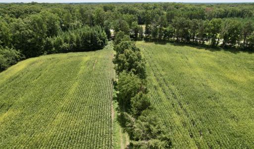 Photo #4 of SOLD property in Off Hwy 58, Boydton, VA 69.5 acres