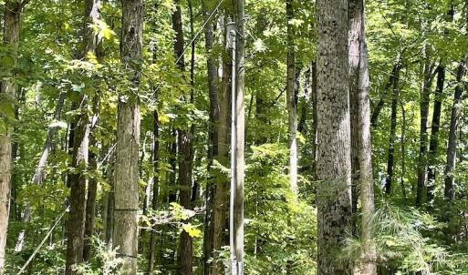 Photo #43 of SOLD property in Off Hwy 58, Boydton, VA 69.5 acres