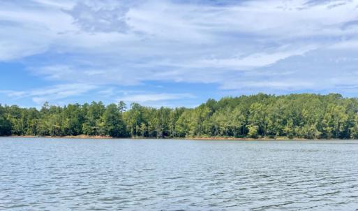 Photo #46 of SOLD property in Off Hwy 58, Boydton, VA 69.5 acres