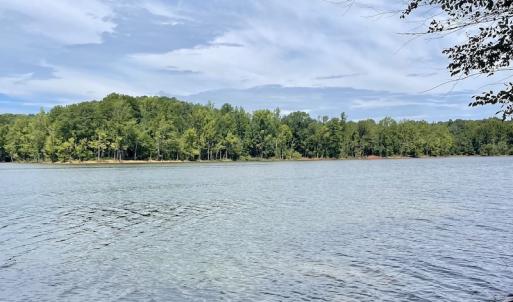 Photo #47 of SOLD property in Off Hwy 58, Boydton, VA 69.5 acres