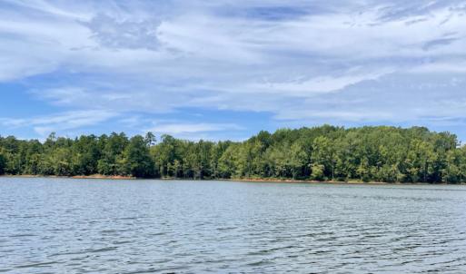 Photo #48 of SOLD property in Off Hwy 58, Boydton, VA 69.5 acres