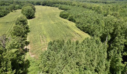 Photo #5 of SOLD property in Off Hwy 58, Boydton, VA 69.5 acres