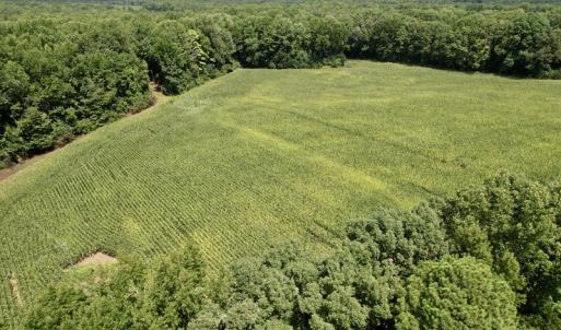 Photo #7 of SOLD property in Off Hwy 58, Boydton, VA 69.5 acres