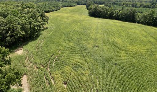 Photo #8 of SOLD property in Off Hwy 58, Boydton, VA 69.5 acres